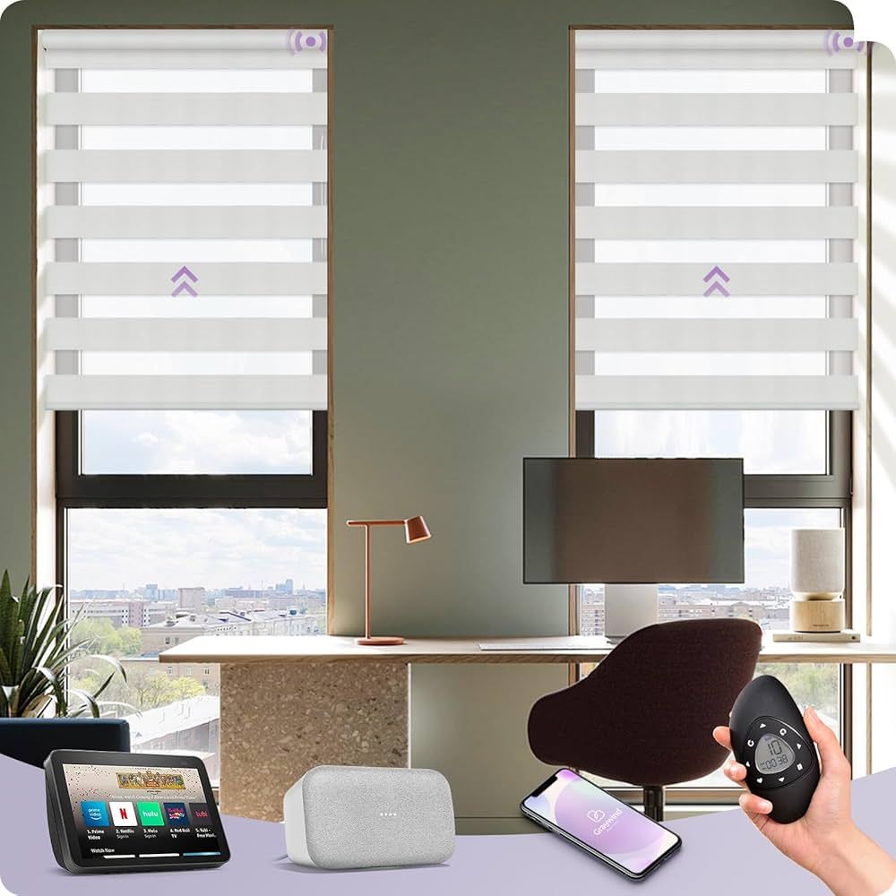 Graywind Motorized Zebra Sheer Blinds Compatible with Alexa Horizontal Light Filtering Window Sha... | Amazon (US)