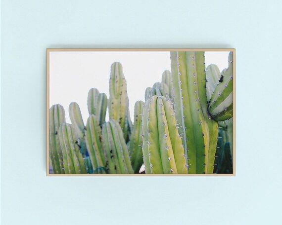 Palm Springs Cacti Digital Art Print | Desert Scene Wall Art | Cactus Downloadable Art + Printabl... | Etsy (US)