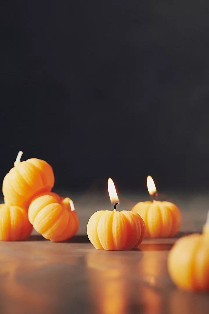 Set of 6 tiny pumpkin candles

How perfect for Halloween or Thanksgiving! 🎃

#LTKParties #LTKSeasonal #LTKHome