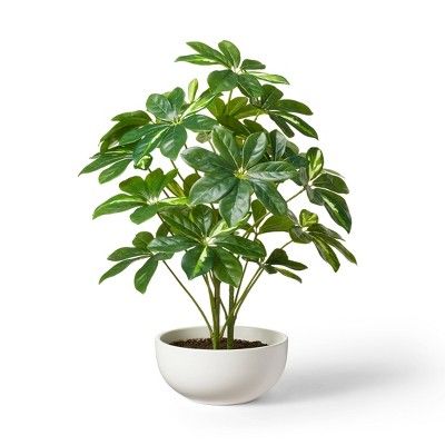 22.5" x 14" Artificial Umbrella Plant in Pot White -  Hilton Carter for Target | Target