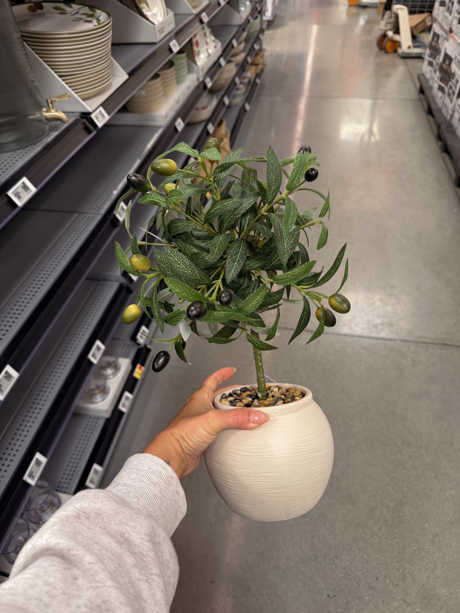 Faux olive plant 
Walmart home decor 

#LTKSeasonal #LTKHome #LTKdayinmylife