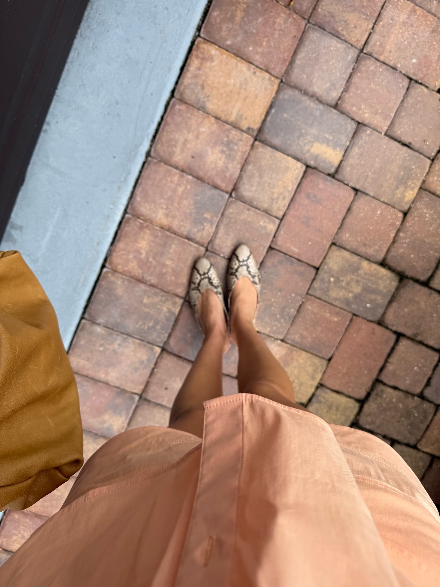 @Steve Madden US snakeskin mules

#LTKootd #LTKSeasonal #LTKdayinmylife