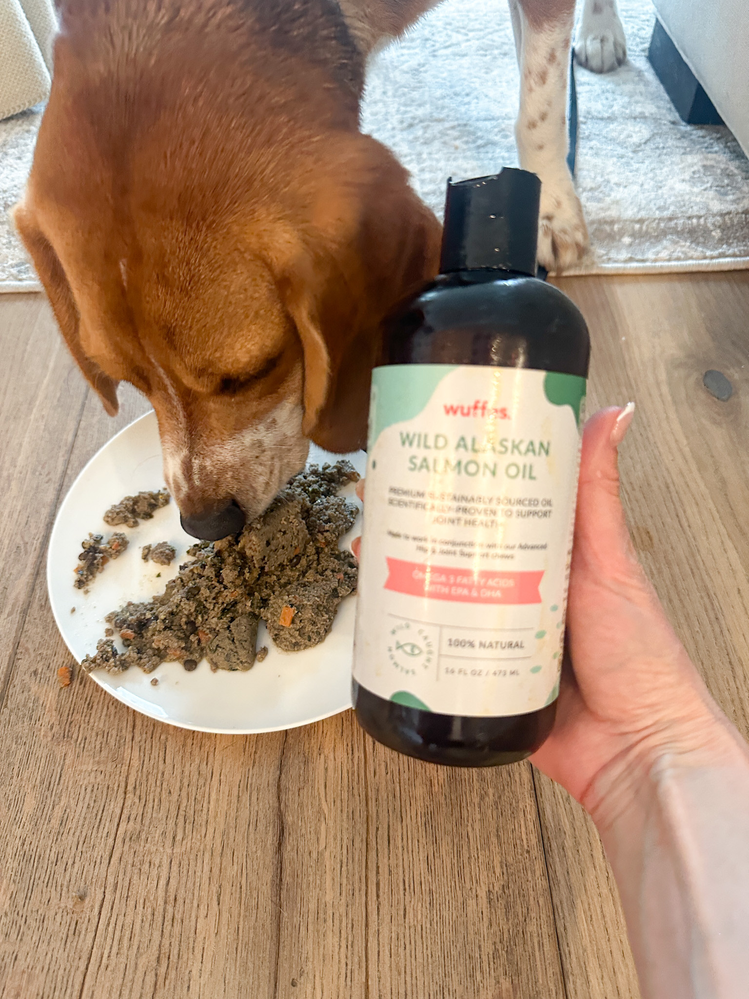Give your pup the wellness boost they deserve 🐶✨ with this advanced omega 3 fish oil! It supports a shinier coat, healthier skin, and happy, active joints 💖🐾. Easy to add to meals, it’s a simple daily habit that makes a big difference 👀✨. Trust me, your furry friend will be looking and feeling their best 💕

#dogsupplements #petwellness #doghealth #omegafordogs #petcare #dogmom #dogdad #furparent #doglife #petessentials #healthypets #dogsofinstagram #petlove #dogcare #wellnessforpets #petnutrition #happydog #dogproducts #petmusthave #dogwellness #healthypup #petinspo #doglovers #ltkhome #ltkfinds 

 