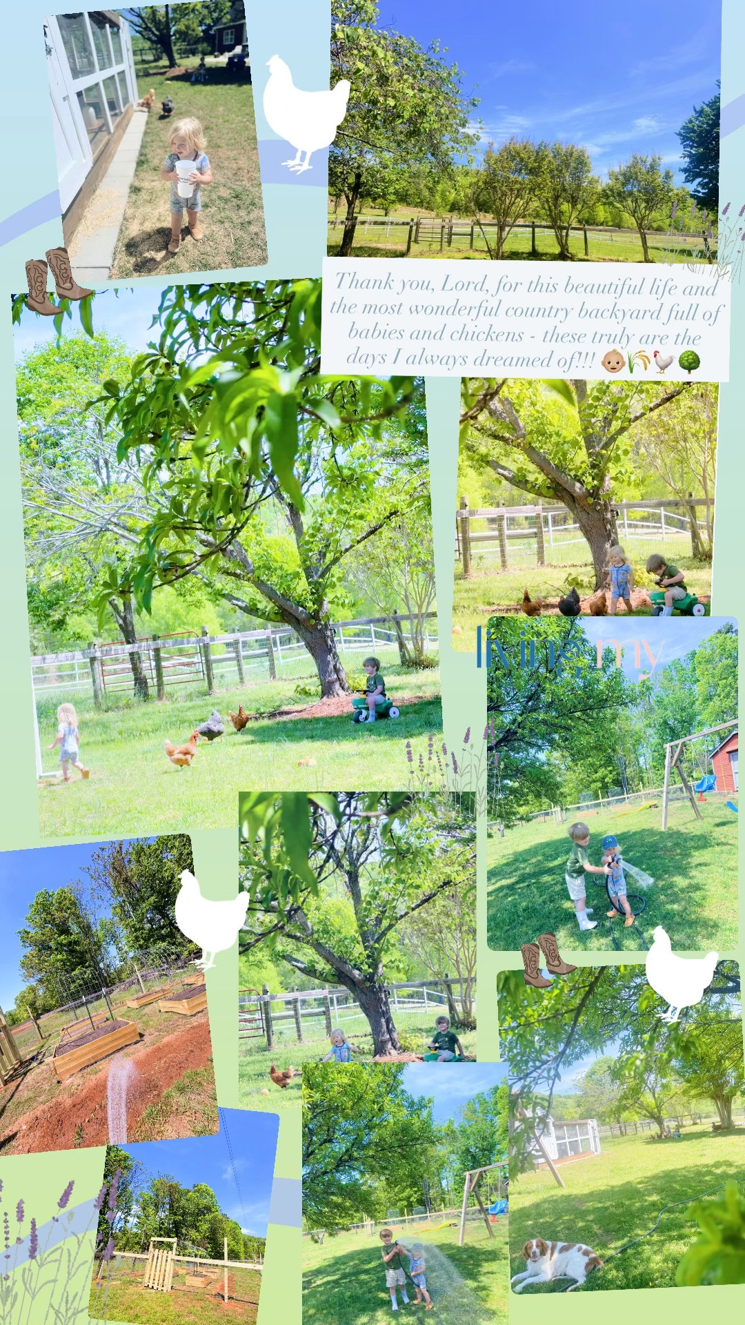 Thank you, Lord, for this beautiful life and the most wonderful country backyard full of babies and chickens - these truly are the days I always dreamed of!!! 👶🏼🌾🐓🌳