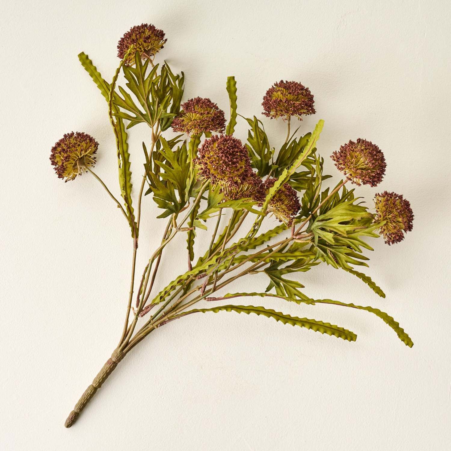 Large Thistle Bush | Magnolia