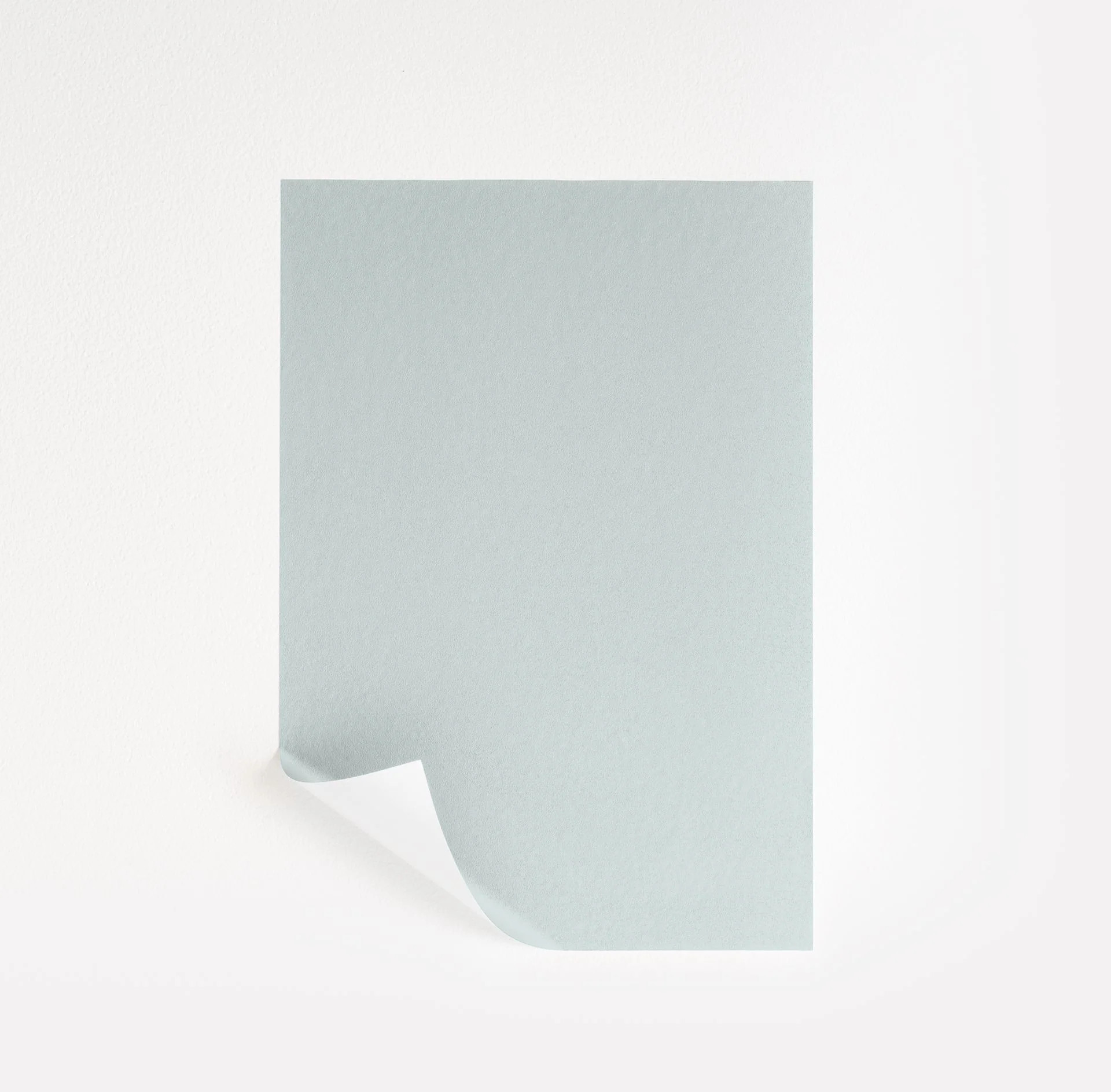 Constellation Paint Sample by Benjamin Moore (AF-540) | Peel & Stick Paint Sample | Samplize