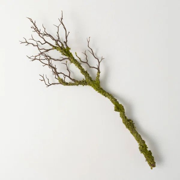 30'' Faux Moss Branch | Wayfair North America