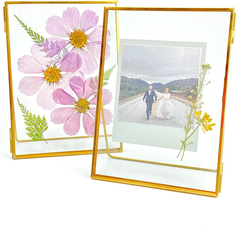 Double Glass Frame for Pressed Flowers, Leaf and Artwork,Gold Standing Metal Picture Frames, Set ... | Amazon (US)