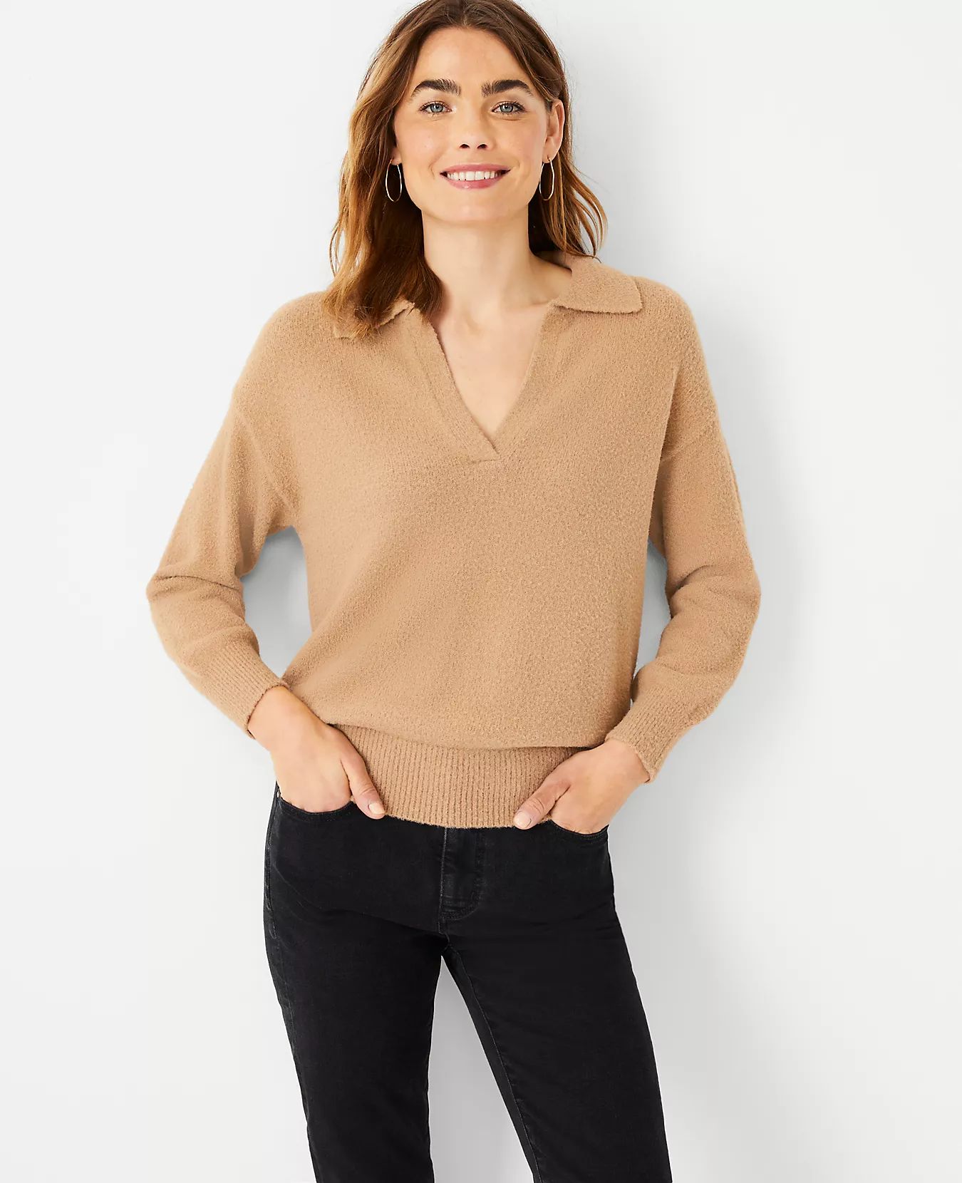Collared V-Neck Sweater | Ann Taylor (US)
