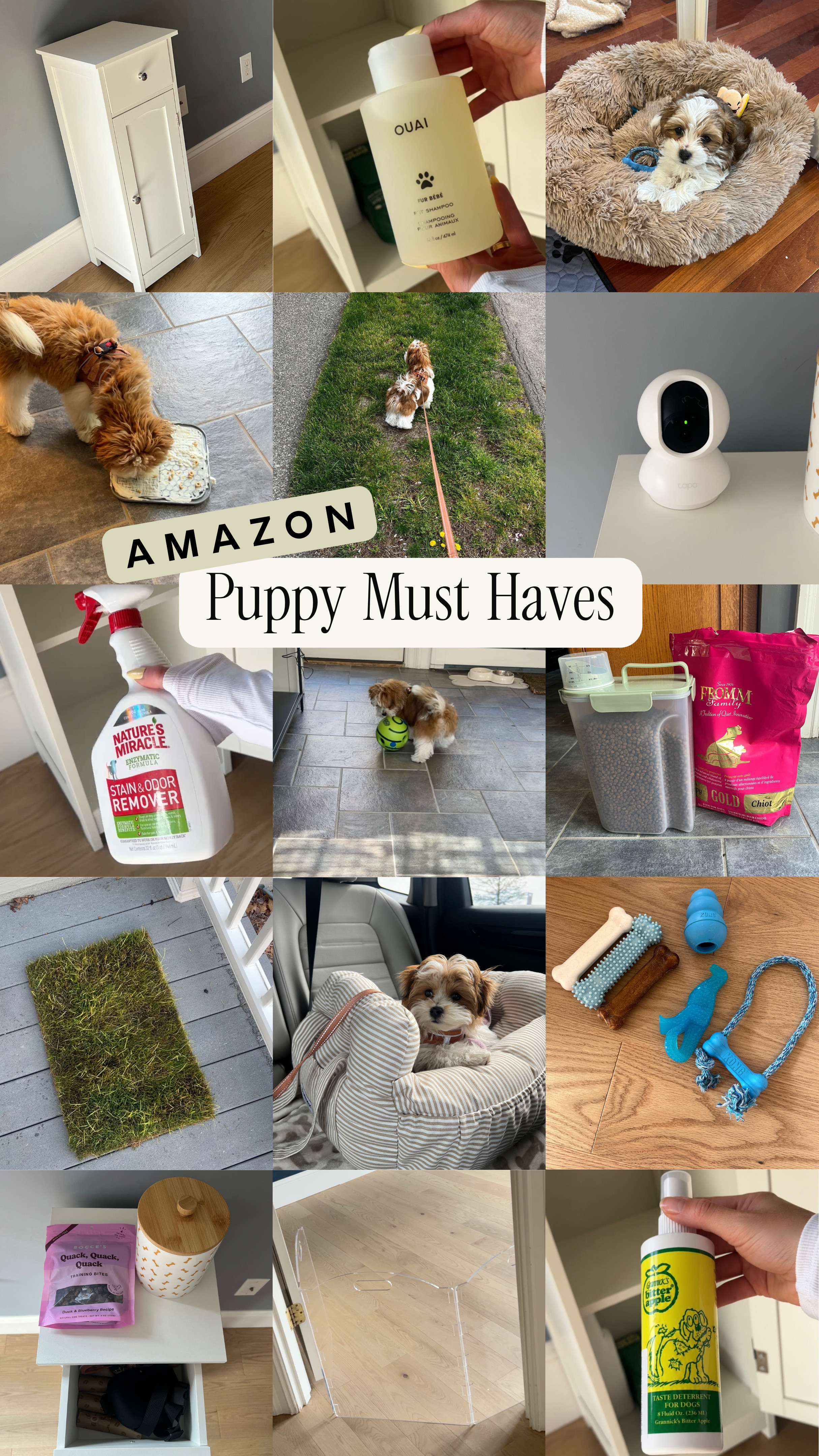 Amazon puppy must haves!

amazon finds, amazon puppy, puppy essentials, camera, puppy cleaning favorites, puppy toys 

 #LTKSeasonal