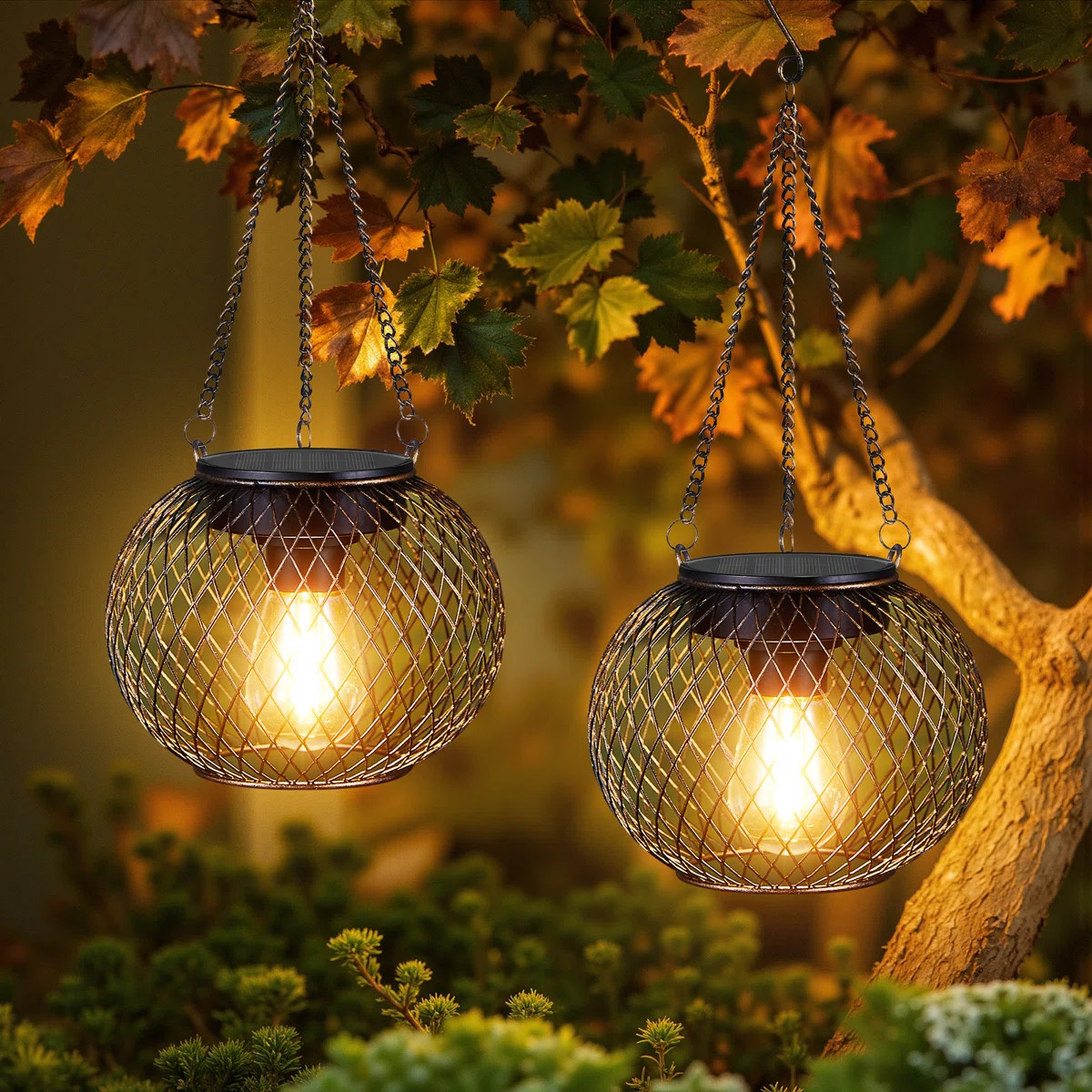 15'' Solar Powered Integrated LED Outdoor Lantern (Set of 2) | Wayfair North America