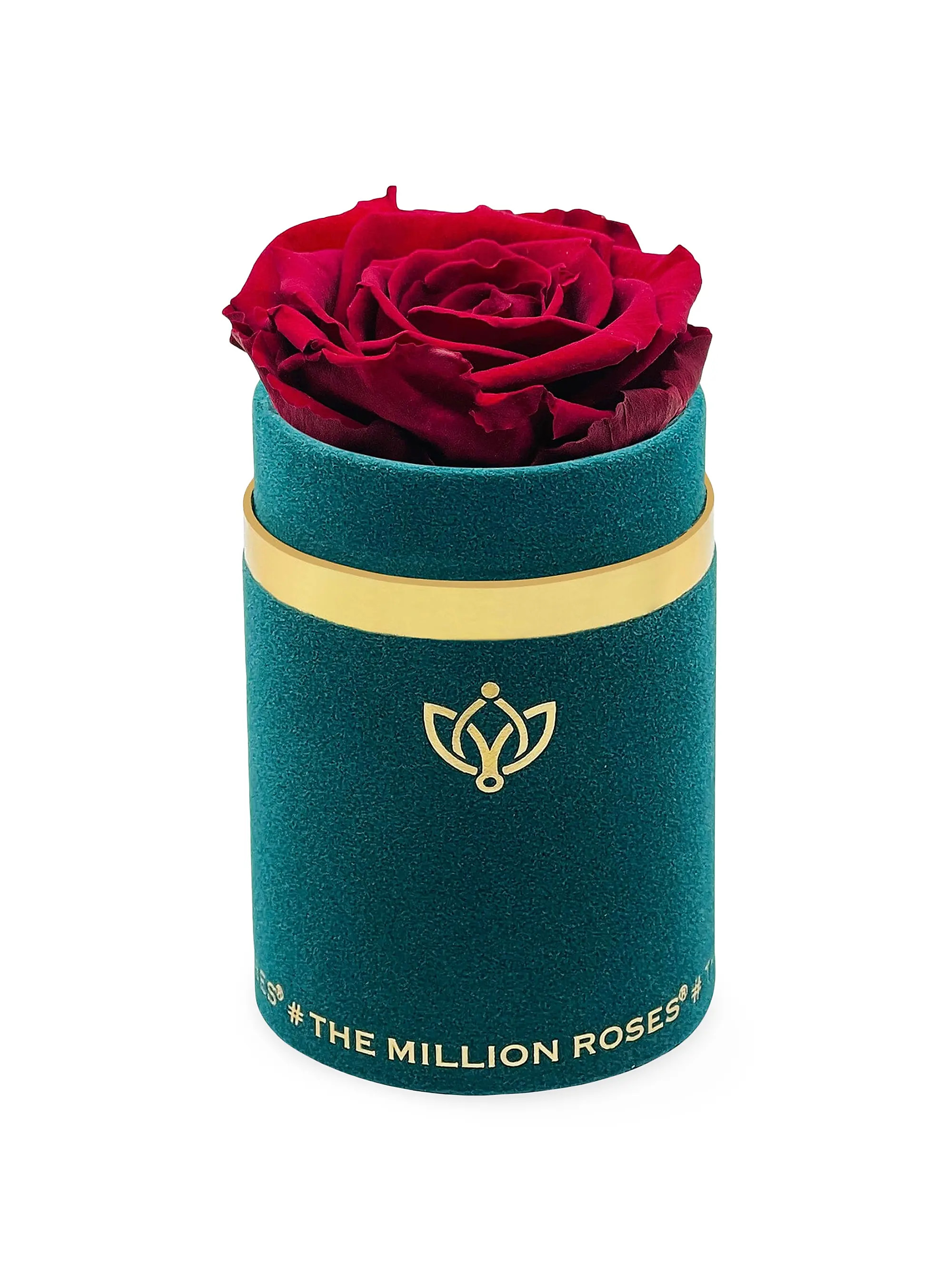 Single Rose in Suede Box | Saks Fifth Avenue