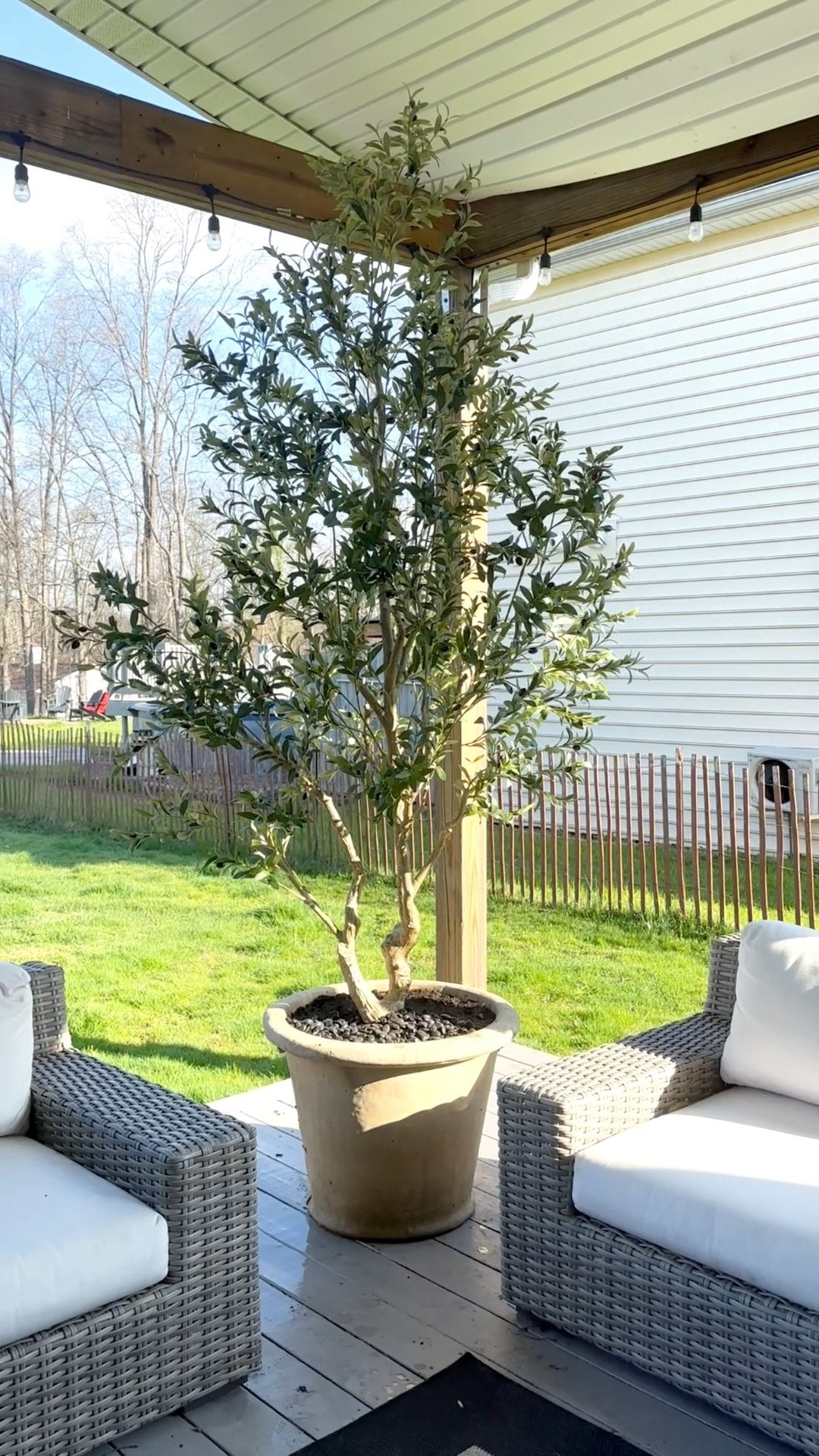 The perfect olive tree comes in 3 sizes and you won’t believe the pricee

#LTKSaleAlert #LTKHome