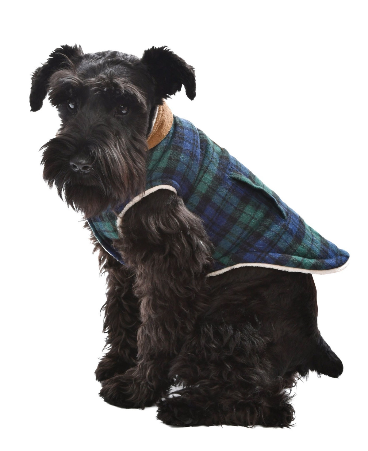Parisian Pet Scottish Jacket Green Plaid - Green | Macy's
