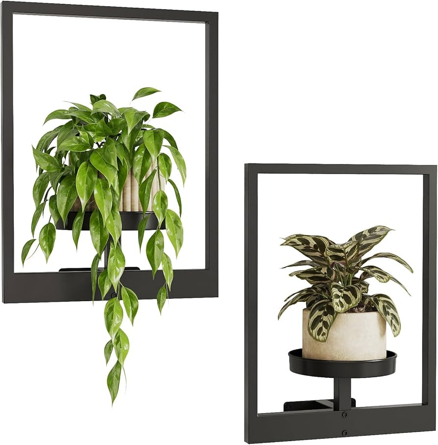 Bamworld Window Plant Shelves Wall Plant Stand Hanging Planters for Indoor Plants Plant Hanger Ou... | Amazon (US)