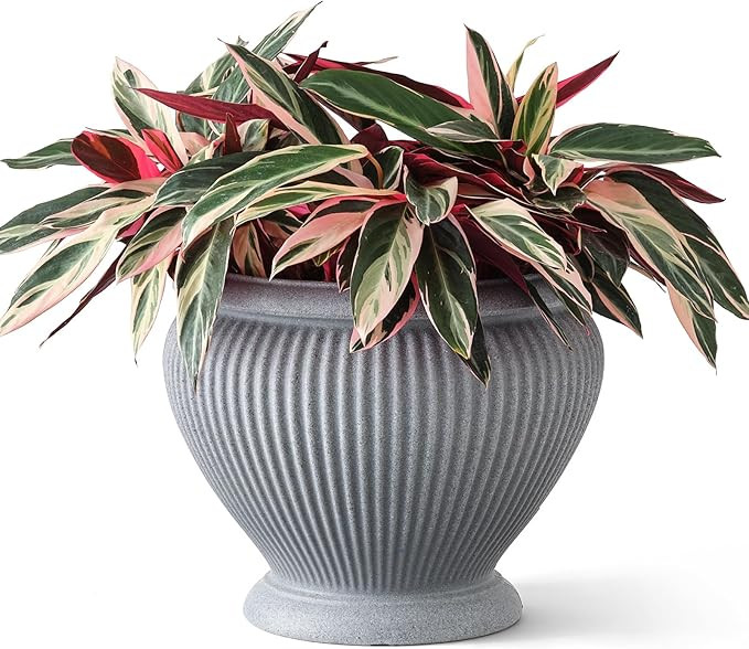 ARBORA 18" Cannes Urn Polyresin Indoor and Outdoor Planter with Stone Blend Concrete Gray Finish ... | Amazon (US)