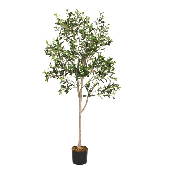 Levin Faux Olive Tree Tree in Free Standing | Wayfair North America