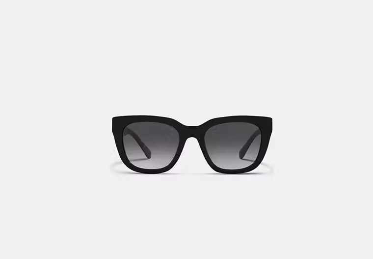 Legacy Stripe Square Sunglasses | Coach (US)