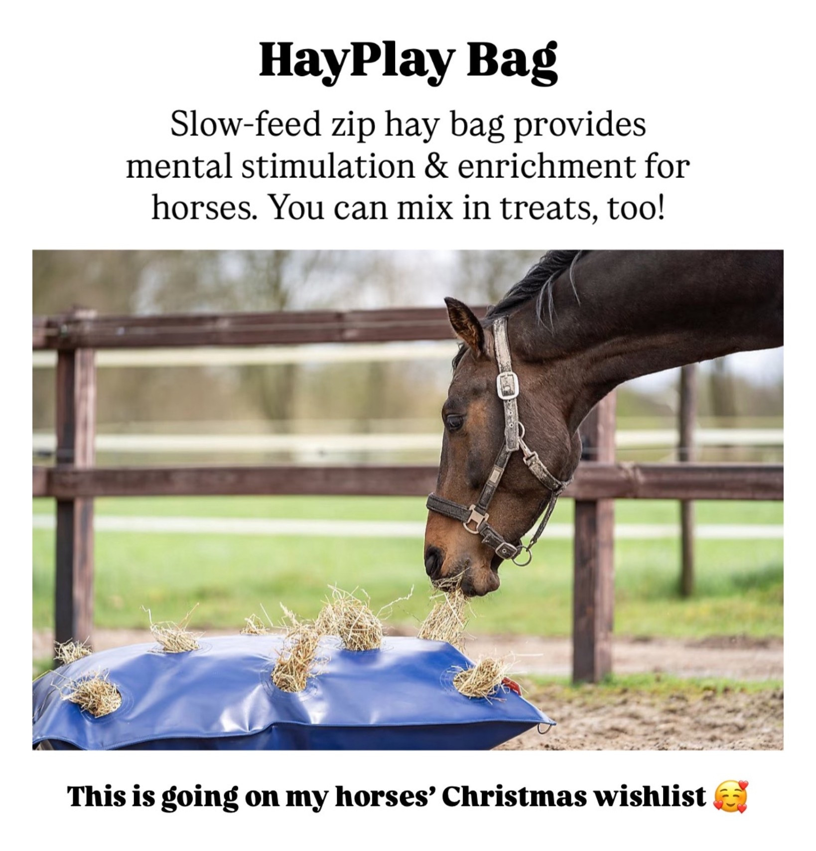 HayPlay Bag for Horses 🐴 Slow-feeder enrichment activity to reduce boredom. 