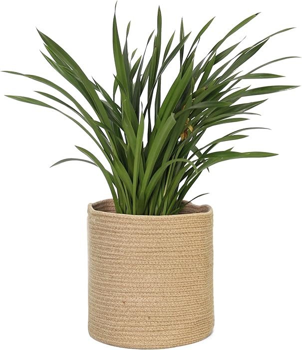Woven Jute Plant Basket, Wicker Basket Planter for 10 inch Pot, Round Indoor Tree Pot Cover, Smal... | Amazon (US)