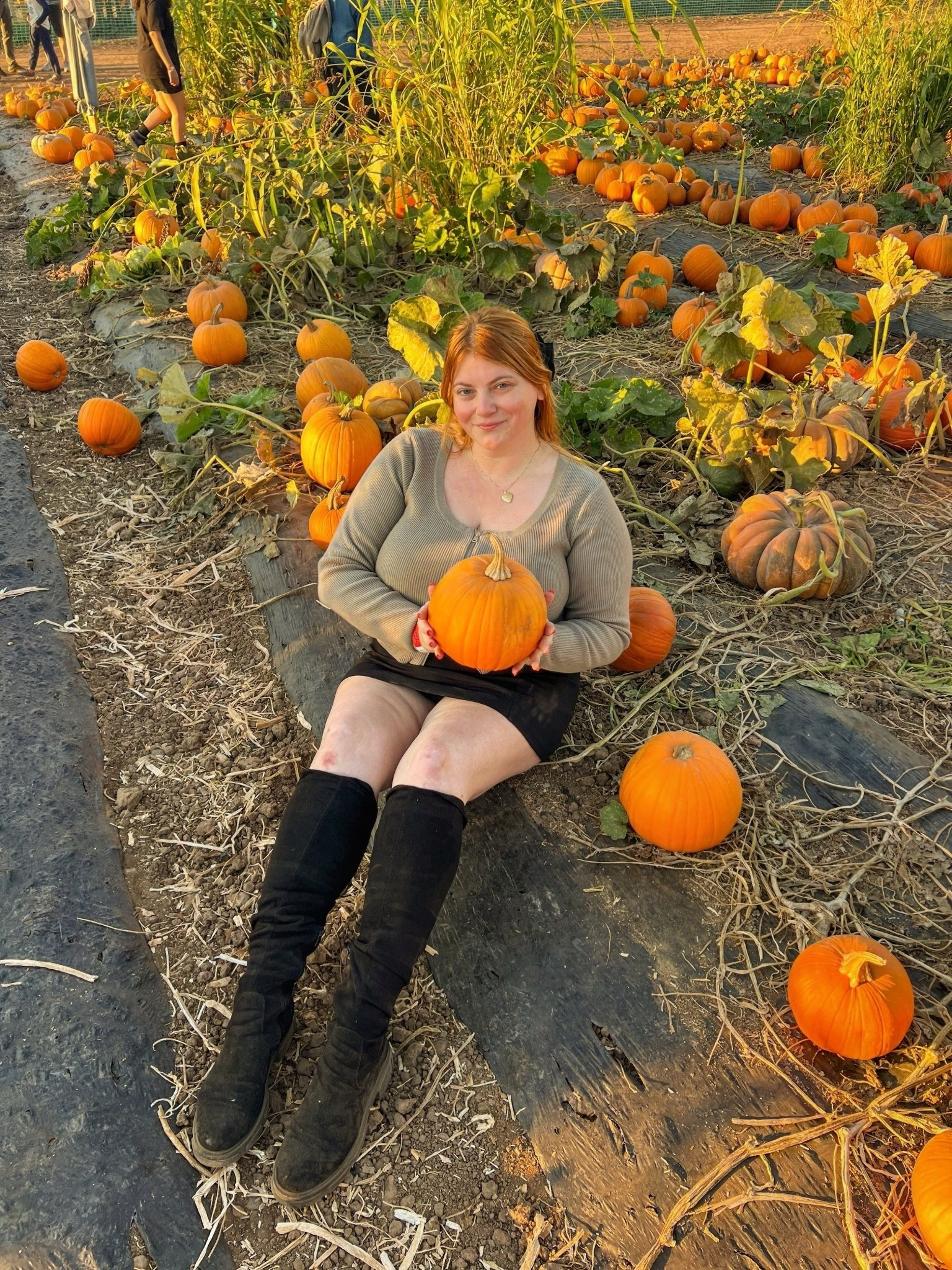 I love this affordable and versatile outfit I wore to the pumpkin patch! The cardigan is under $30 and I’m wearing an XXL. I’m wearing a 2X in the skirt because there was no 1X available. The boots I’m wearing are over 5 years old, but I’ve linked a similar wide calf style that’s on sale.

#LTKSaleAlert #LTKPlusSize #LTKMidsize