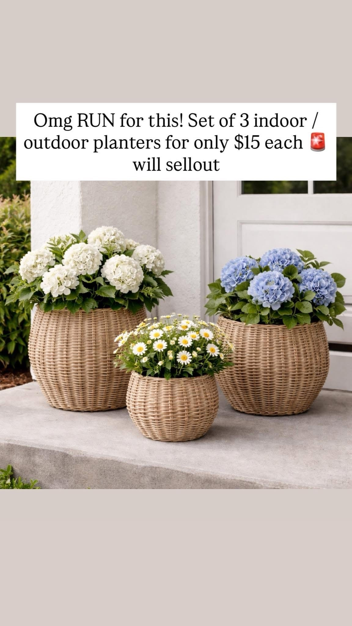 Omg! Set of 3 planters is back in stock / on sale!!! Can be used indoors or outdoors 😍🙌🏻🚨