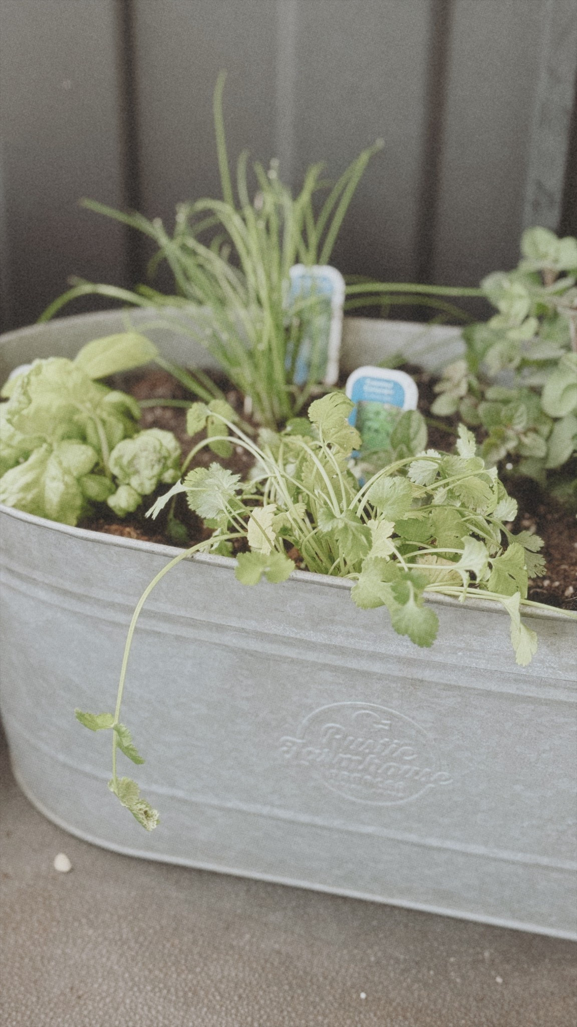 Gardening season is upon us! 🌿

#LTKcanada #LTKspring