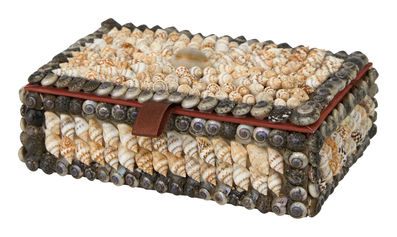 Shell Boxes | Jayson Home