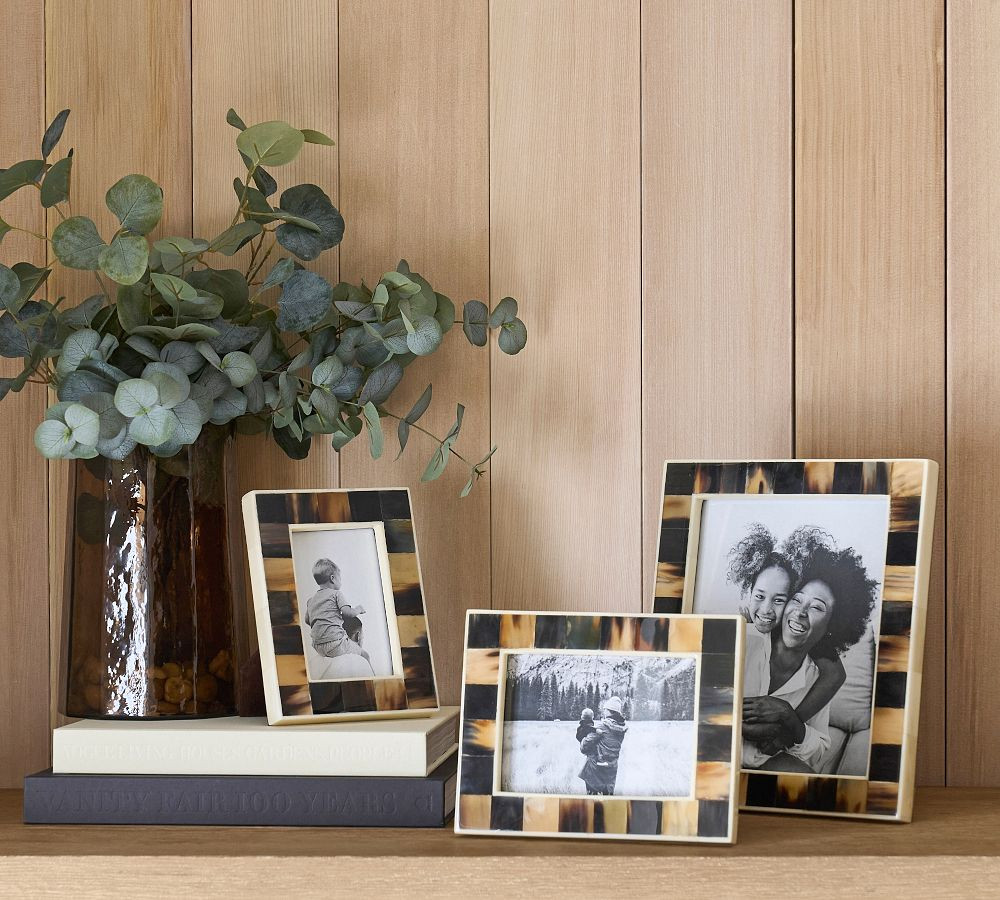 Horn and Bone Frame | Pottery Barn (US)