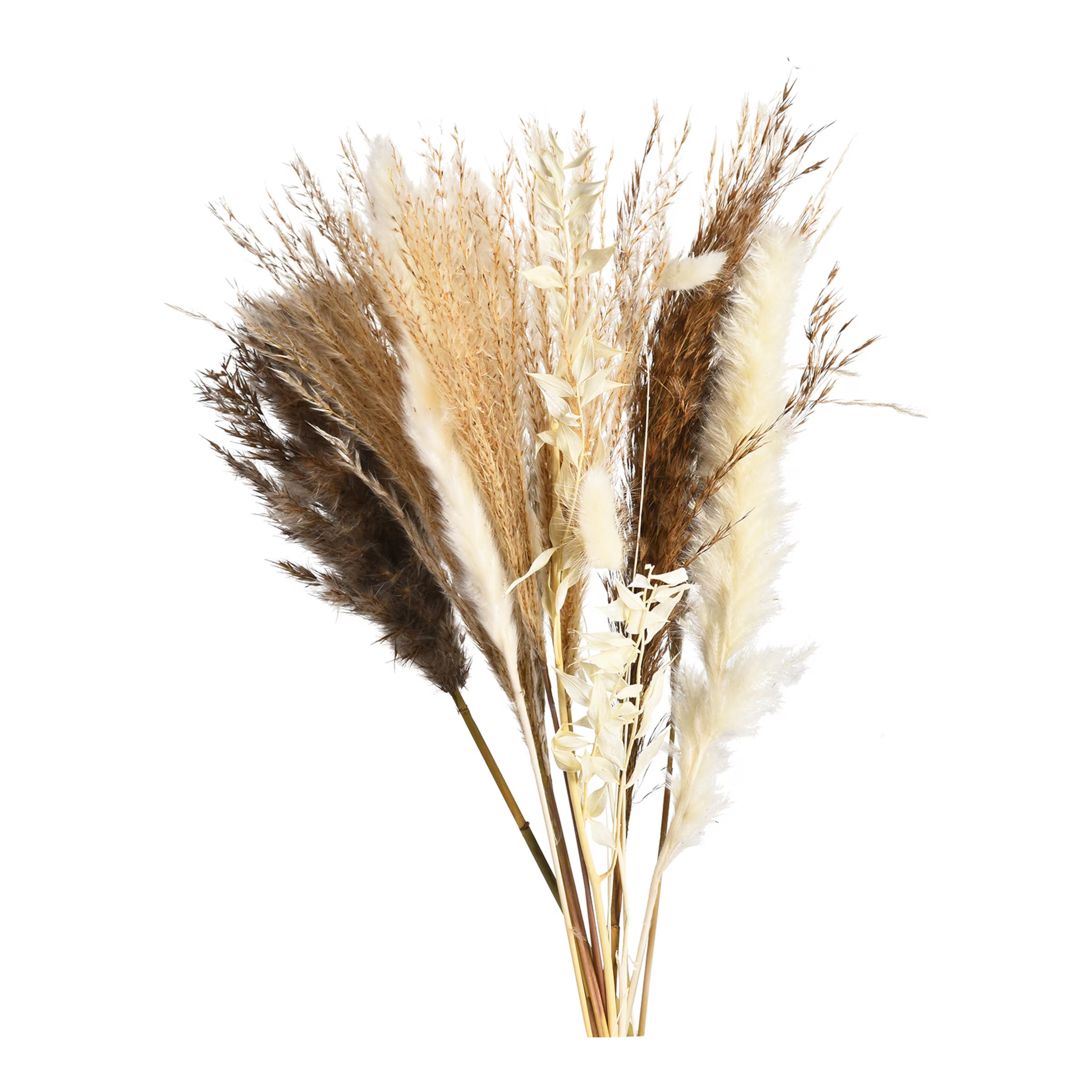 Trockenblumenstrauß Bouquet online kaufen | DEPOT | DEPOT Onlineshop DE