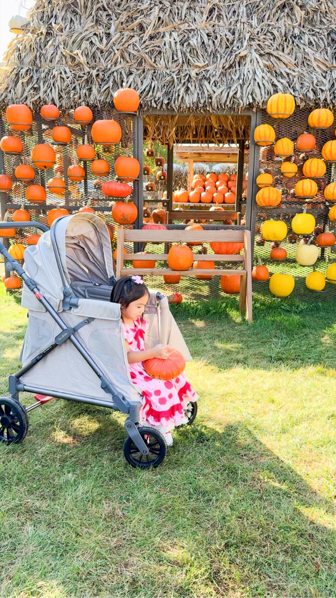 🎃🍁 Cozy pumpkin patch days call for the Familidoo Q1 wagon stroller 🍂 From little giggles to big pumpkin hauls, it makes every fall adventure sweeter 💛 With roomy seating and a removable seat, it transforms from snuggly stroller to handy hauler in seconds. The all-terrain wheels make every stroll through crunchy leaves smooth, while the one-press 5-point harness keeps the littles safe and snug. And when the day winds down, it folds up quick. The perfect way to wrap up family adventures at the patch 🥰 

#LTKKids #LTKFamily #LTKBaby