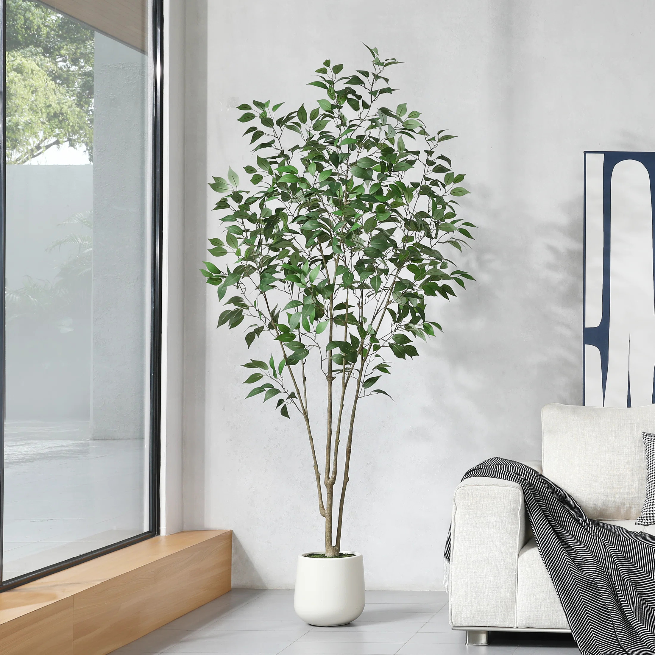 Adcock Faux Ficus Tree with Round White Planter, Pre Potted Faux Greenry Ficus Plant for Home Dec... | Wayfair North America