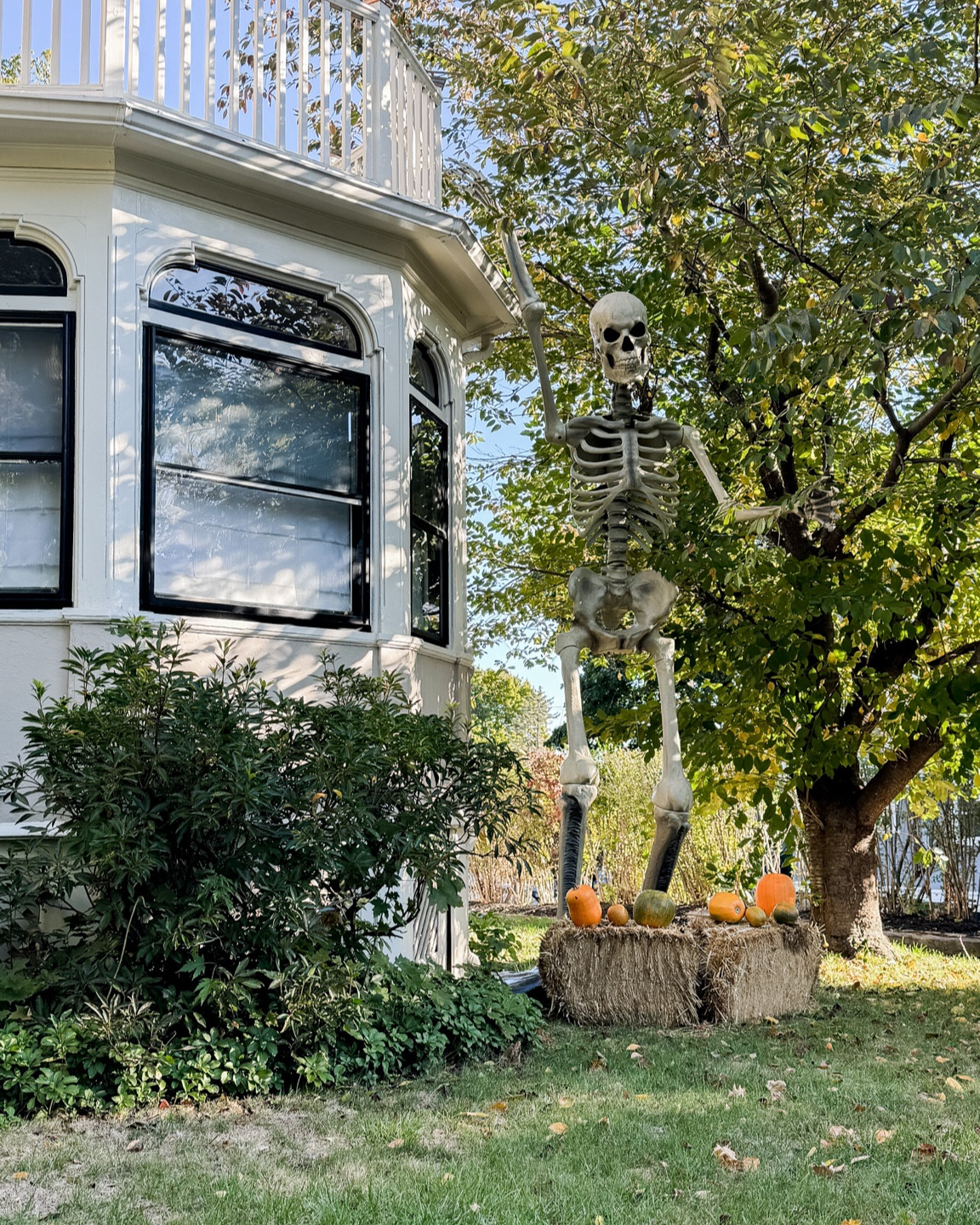 My 12 Foot Skelly is sold out, but here are some similar options that you can get before Halloween!

#LTKHalloween