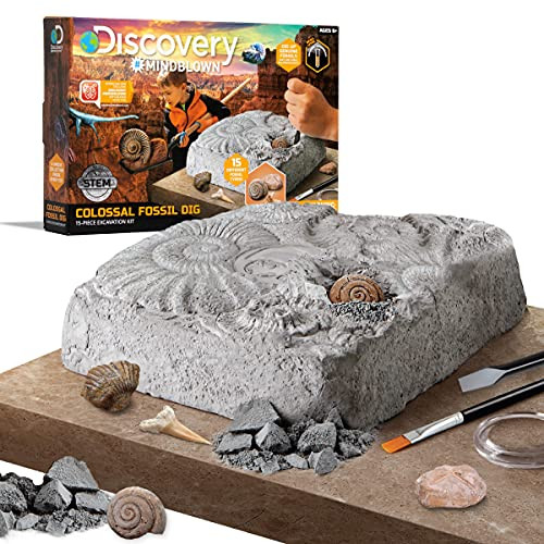 Discovery Colossal Fossil Dig Set, 15-Piece Archeology Excavation Kit, Uncover Real Shark Teeth and More, STEM Toys for Boys and Girls | Amazon (US)