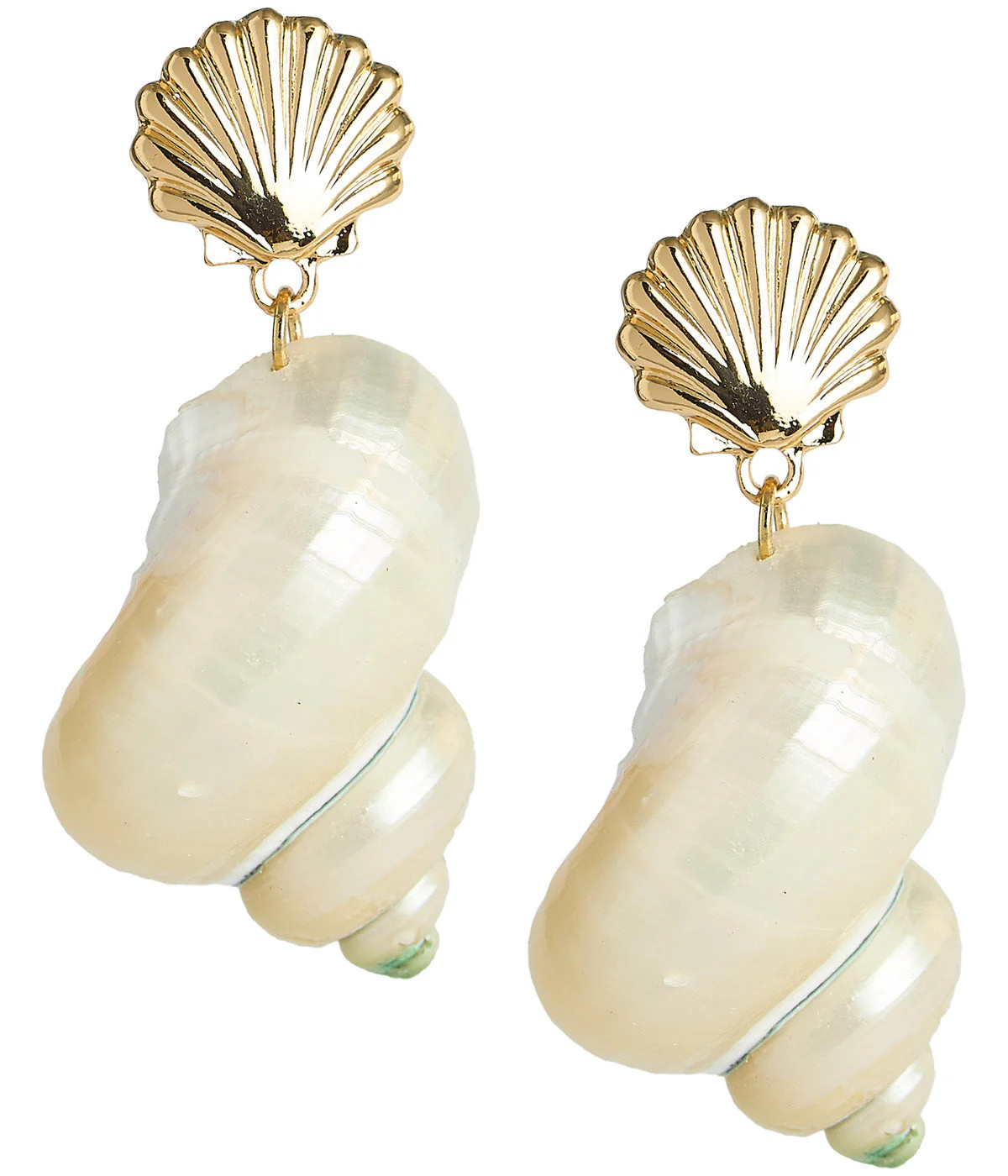 Sammie Shell Earrings | Lisi Lerch Inc