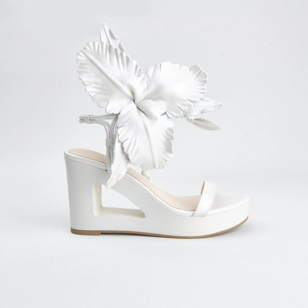 LILLY | Cecelia New York