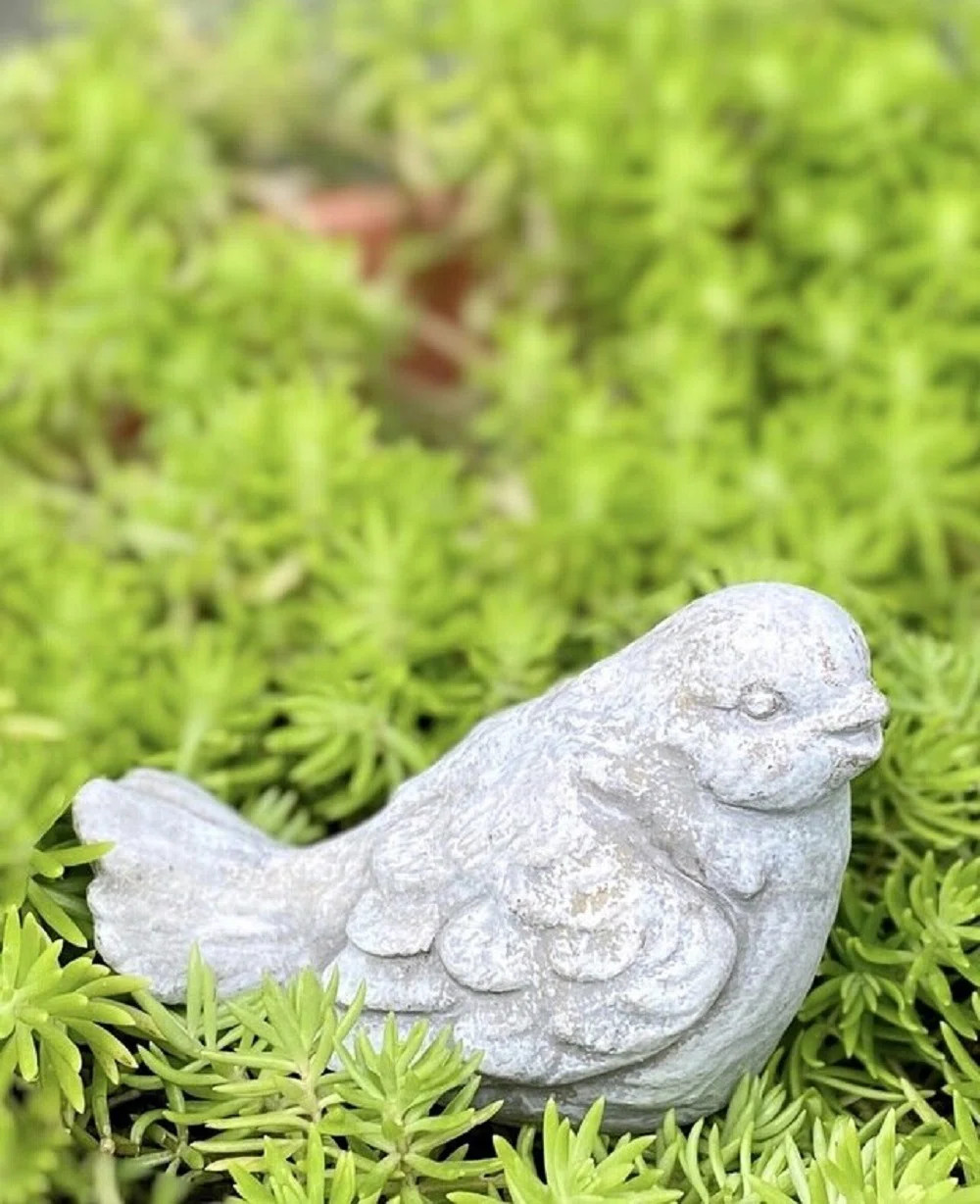 Raybon Bird Concrete Garden Statue | Wayfair North America