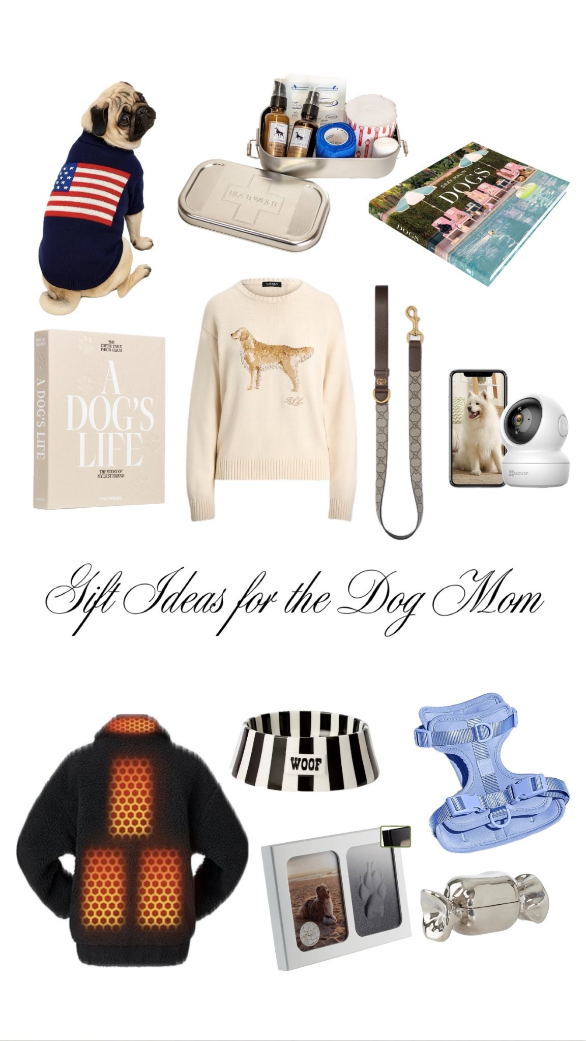Gift ideas for the dog mom

#LTKgiftguide