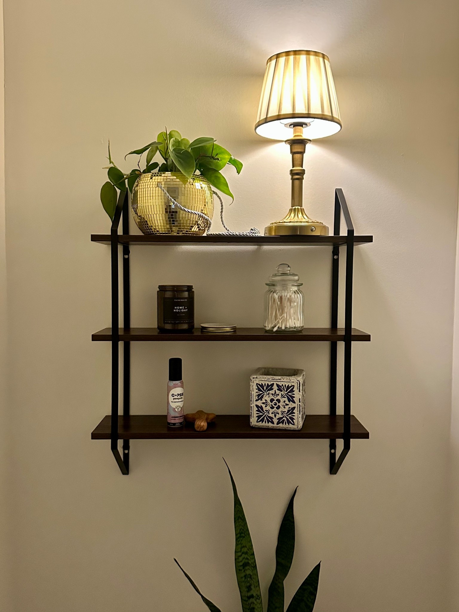 Bathroom shelf // Trader Joe’s disco ball planter 

#LTKselfcare #LTKHome #LTKHoliday