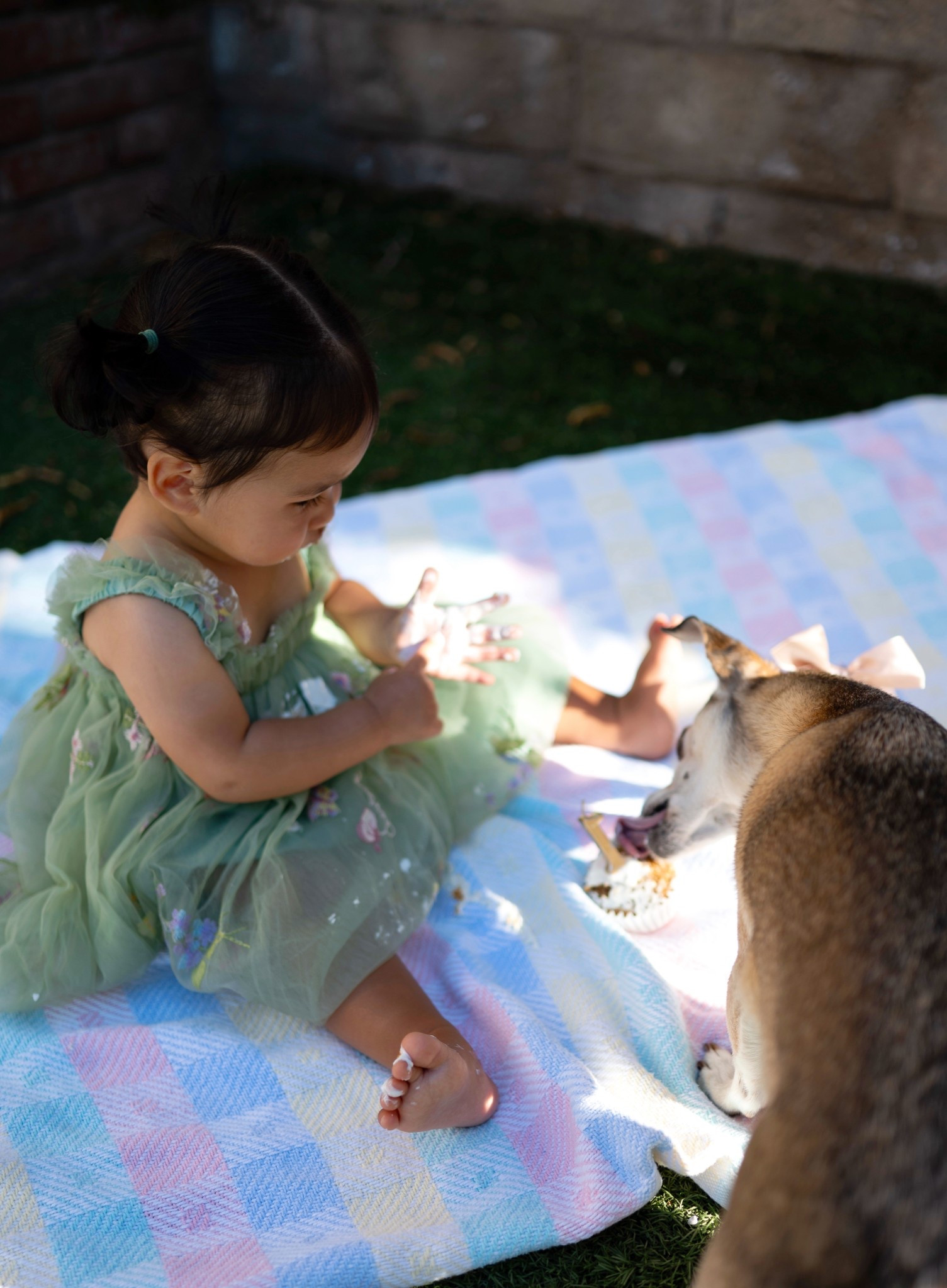cake smash dress 🍰 | cake smash photos | cake smash tutu dress | sage green tutu dress | one year old birthday dress | fairy birthday dress | one year birthday | first birthday dress 

#LTKParties #LTKBaby #LTKKids
