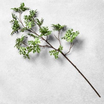 Faux Agalaia Fern Stem - Hearth & Hand™ with Magnolia | Target