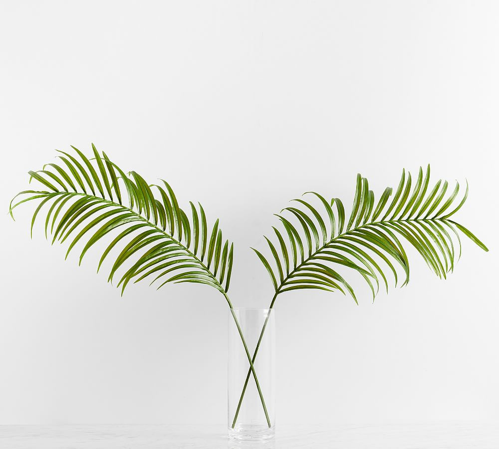 Faux Oversized Palm Leaf Branches | Pottery Barn (US)