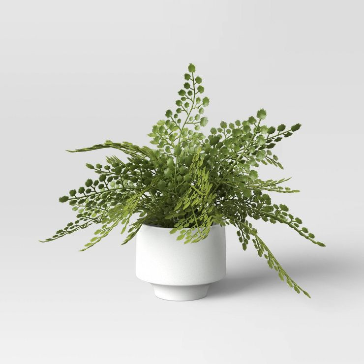Small Fern in Modern Pot Maiden Hair Arrangement - Threshold™ | Target