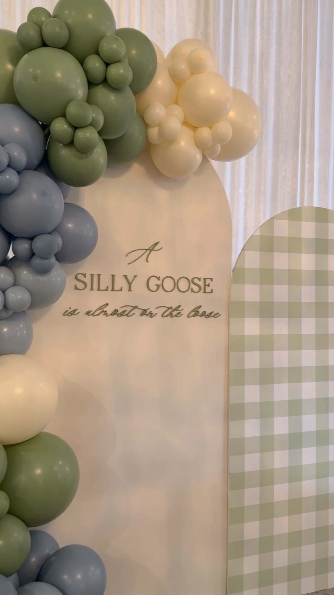 Baby shower details 🪿🩵

#LTKBaby #LTKParties #LTKBump