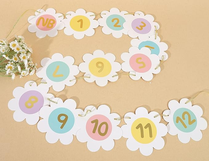 Daisy Monthly Milestone Photo Banner - Boho Daisy 1st Birthday Decor, Pastel Rainbow Daisy First ... | Amazon (US)