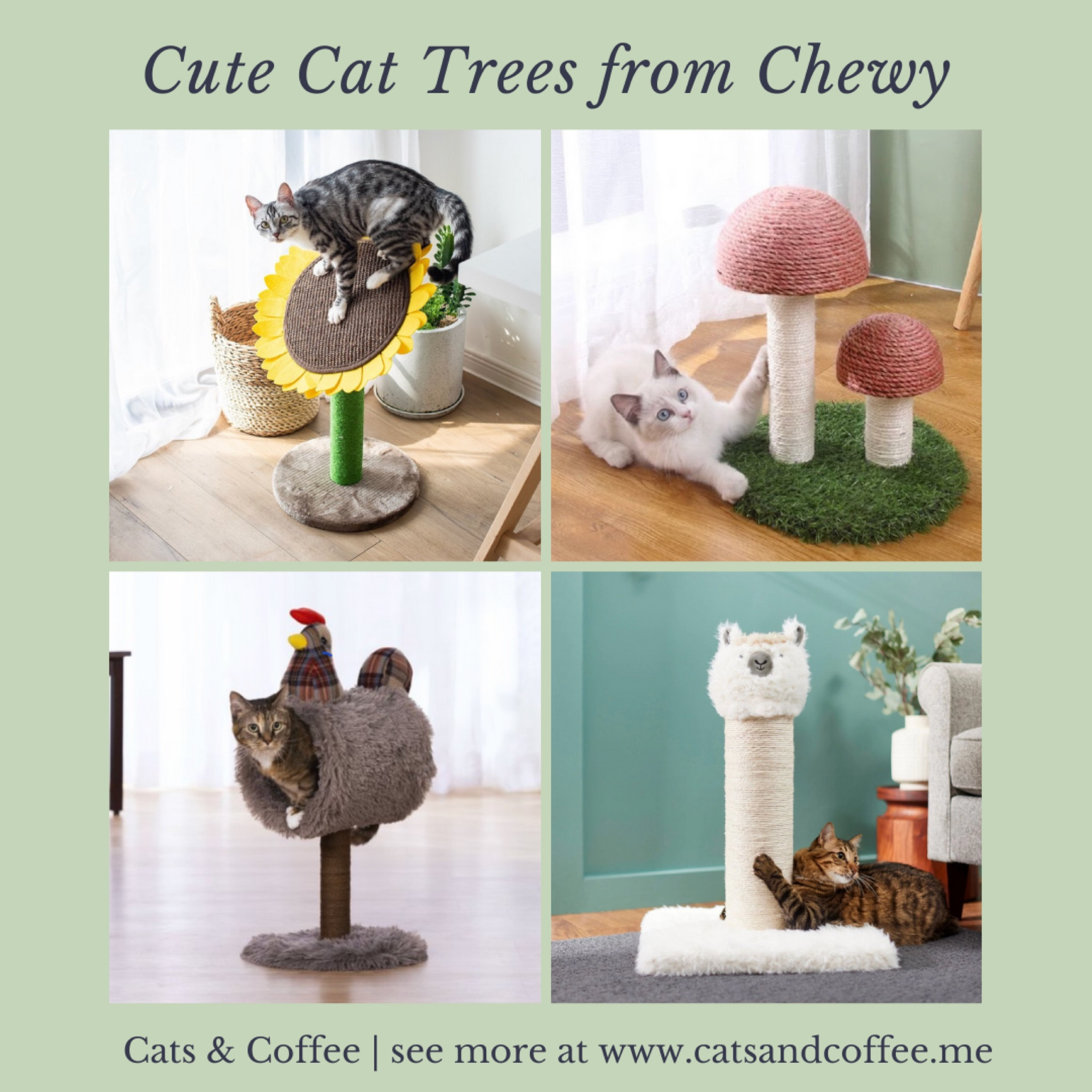 The Cutest Cat Trees from Chewy | Cats love cat trees and scratchers because they provide them with an outlet to indulge their natural instinct to climb and scratch. | Shop the cutest and most whimsical cat trees, featuring unicorns, sunflowers, and more, from Chewy here! 


#LTKSeasonal #LTKhome #LTKfamily