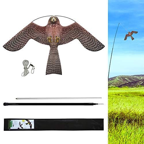 eyijklzo Bird Scarer Flying Kite Crops Farm Flying Bird Hawk Flying Kite | Amazon (US)