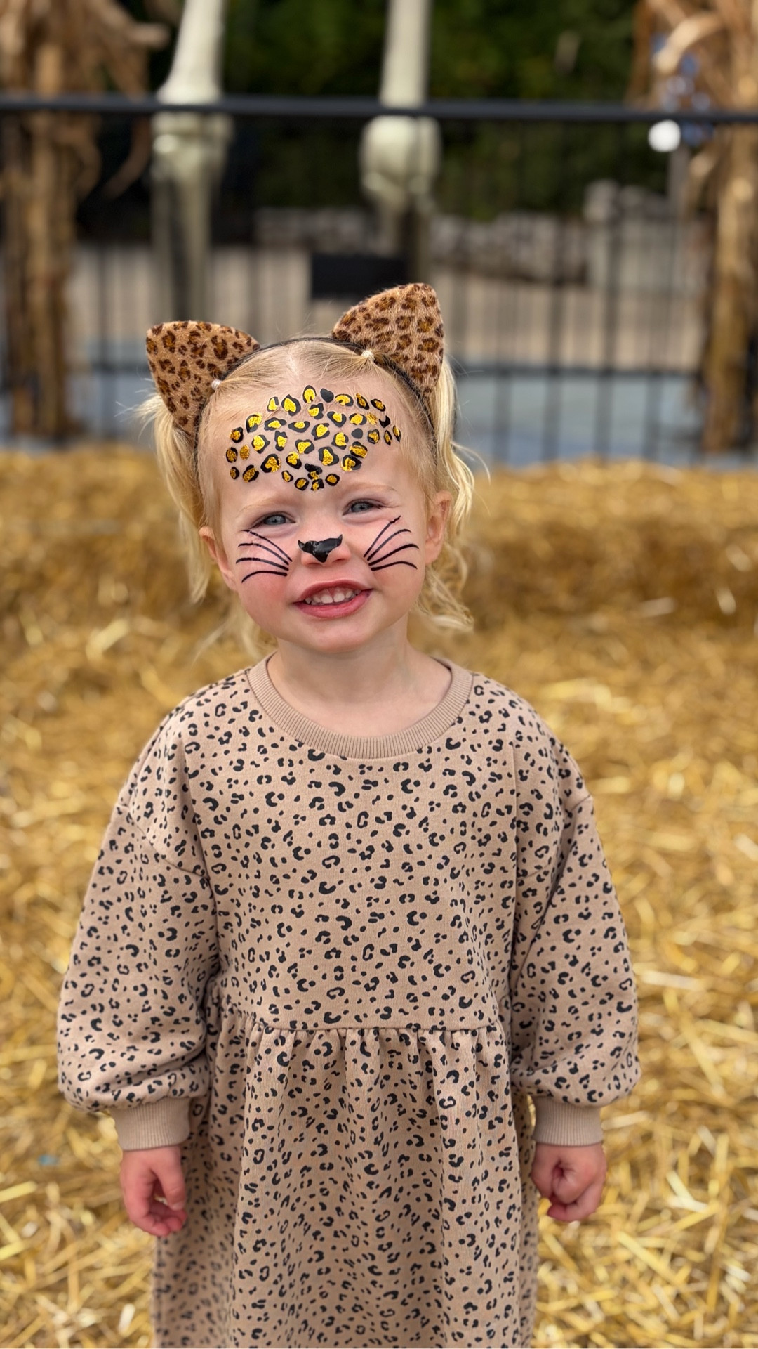 Adorable and super easy cheetah costume 🐆

#LTKFamily #LTKKids #LTKHalloween