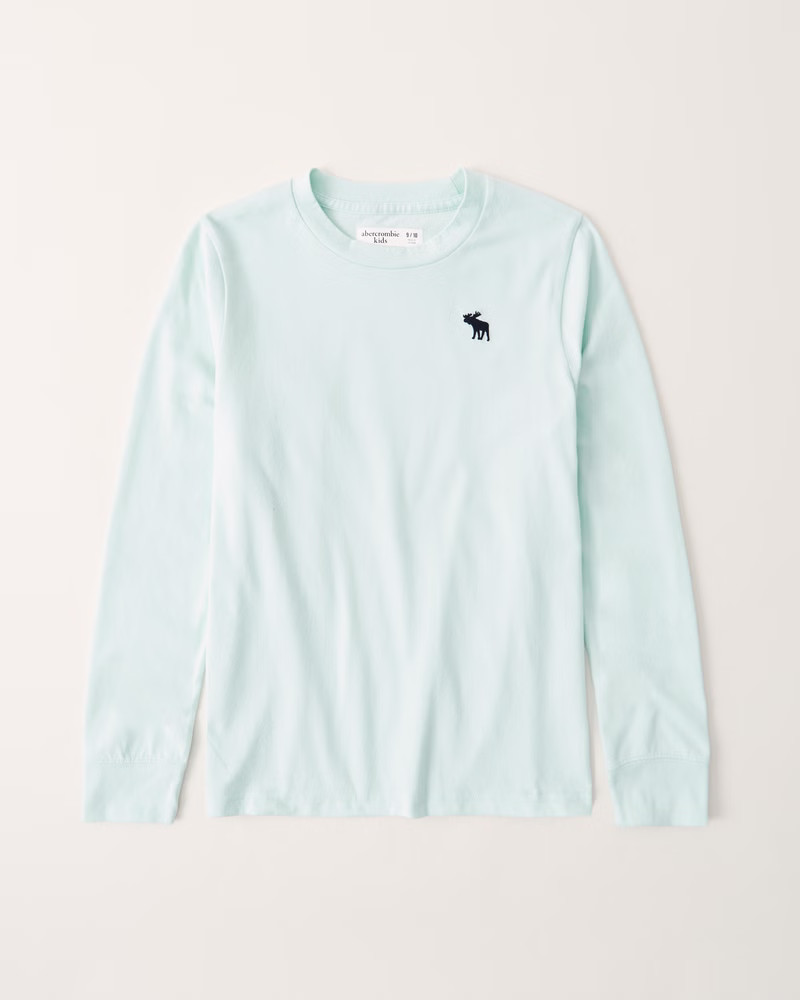 long-sleeve icon tee | Abercrombie & Fitch (US)
