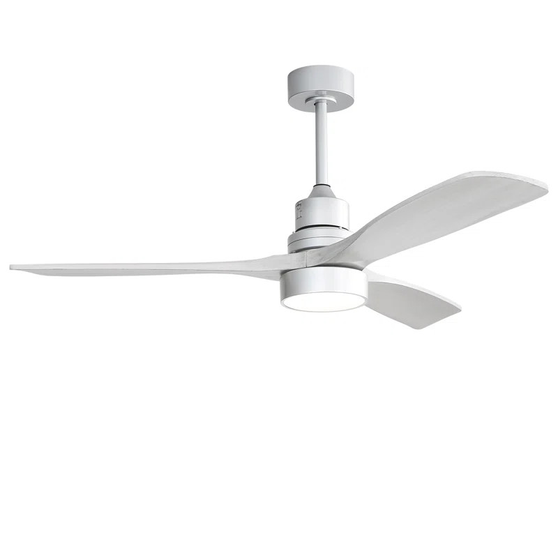 Nicola 52'' Ceiling Fan with LED Lights | Wayfair North America